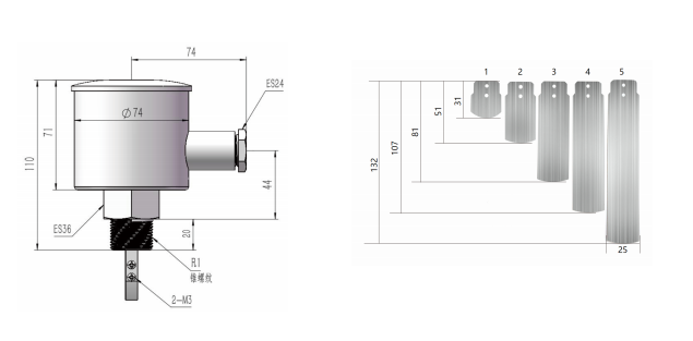 NOIKE-AH Explosion-Proof Paddle Flow Switch NK01BS-RS