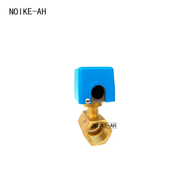 NOIKE-AH Mechanical Paddle Flow Switch NK01D